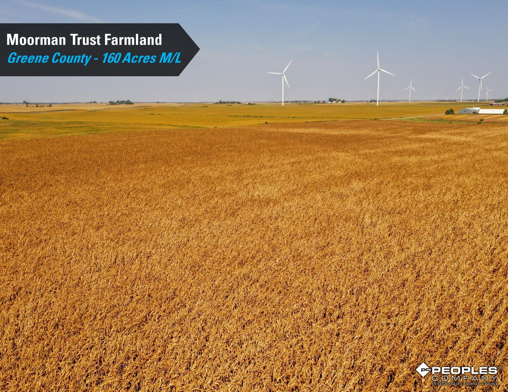 Listing Photo: Greene-County-Iowa-Farmland-Auction-160-Acres-Moorman-Rippey-IA-18618 (11)